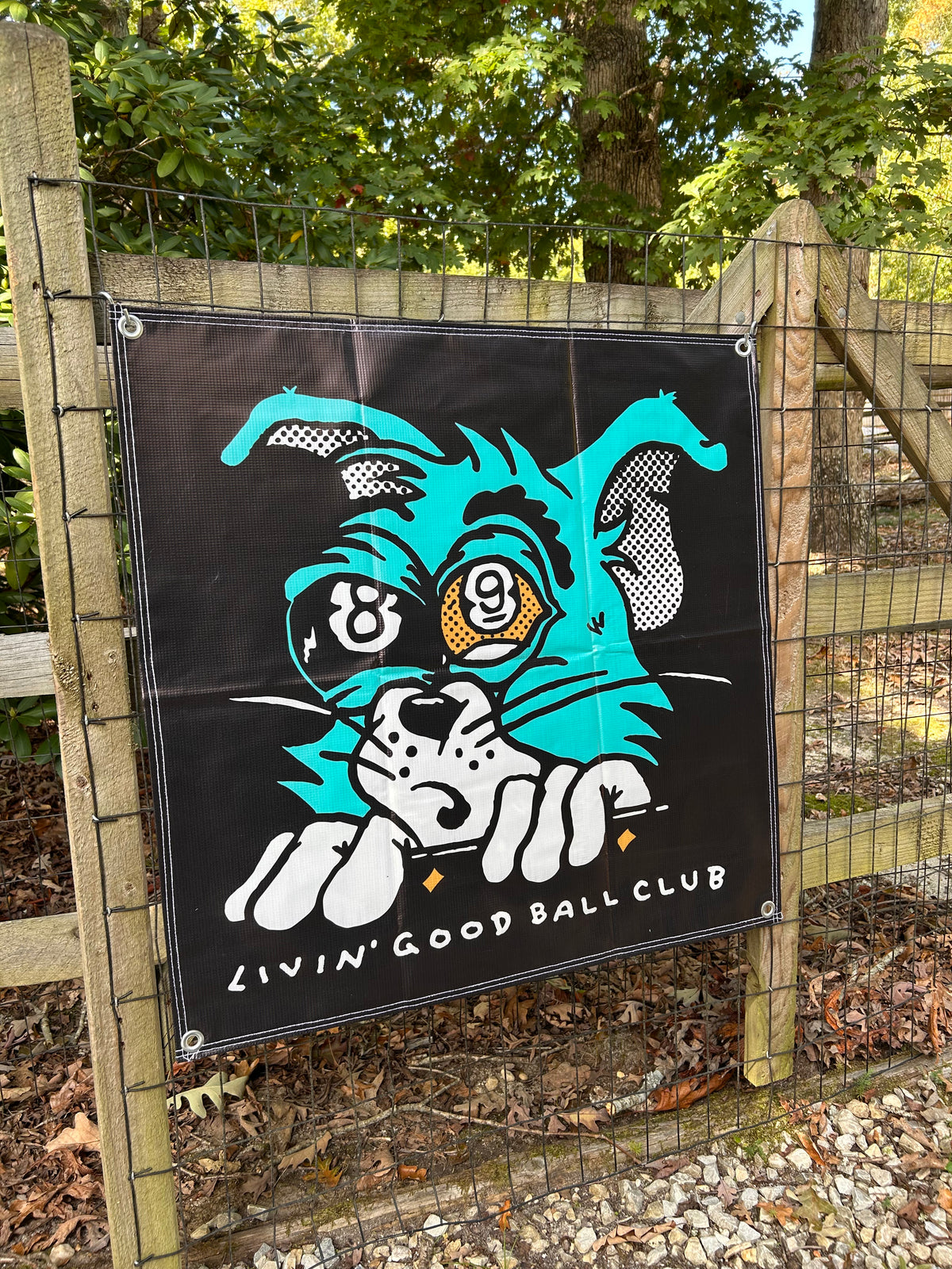 Tom Cat Banner