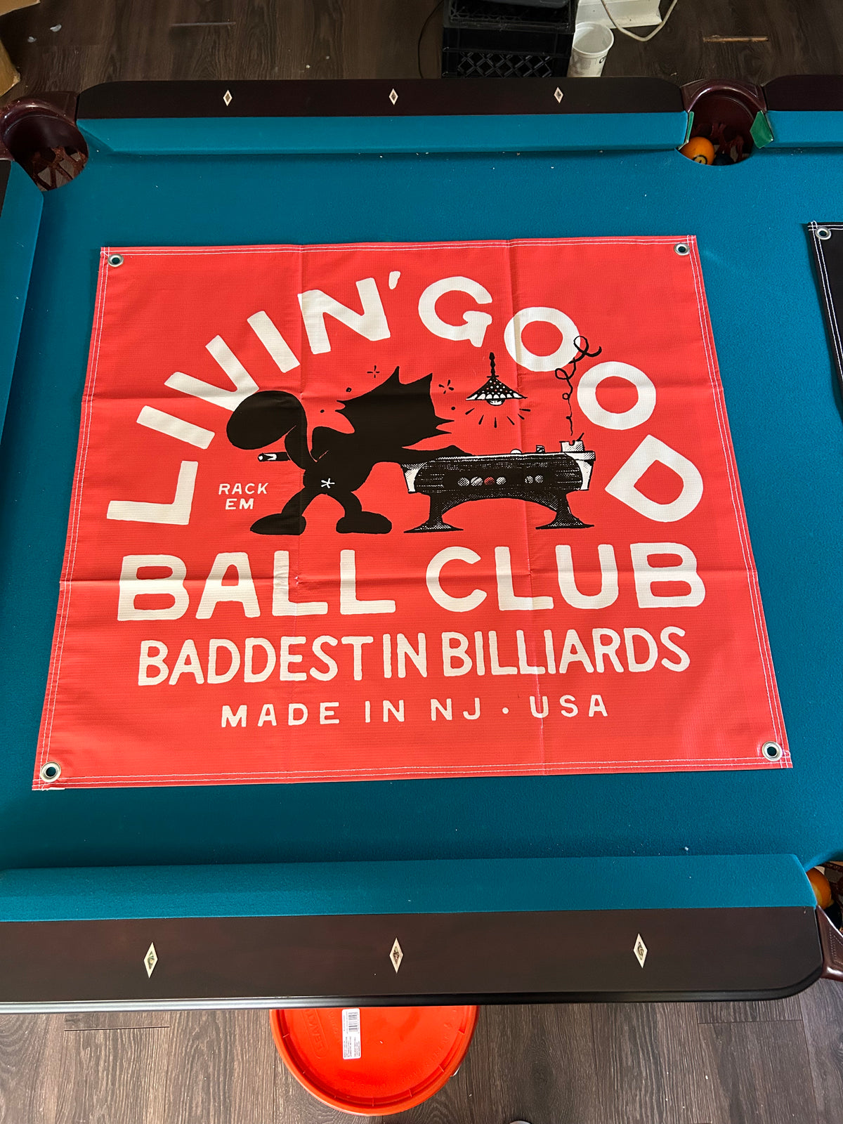 Cool Cat Banner